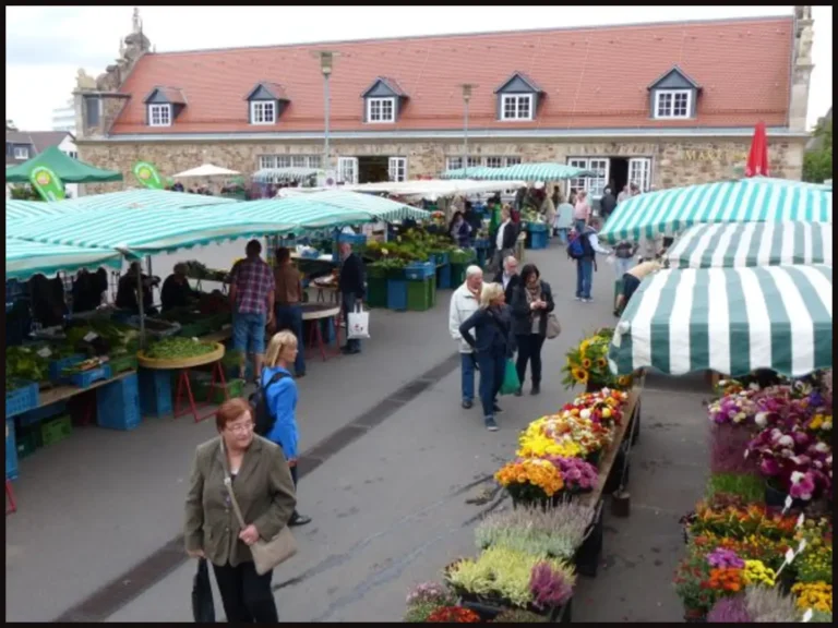 kasselladiesmarkt
